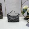 DIO lady DI luxury for women handbag shoulder bag Nomad Lunch Box Bag 22cm