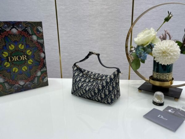 DIO lady DI luxury for women handbag shoulder bag Nomad Lunch Box Bag 22cm