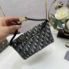 DIO lady DI luxury for women handbag shoulder bag Nomad Lunch Box Bag 22cm
