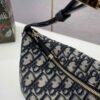 DIO lady DI luxury for women handbag shoulder bag Nomad Lunch Box Bag 22cm