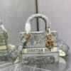 DIO lady DI luxury for women handbag shoulder bag Lady D-Lite 24cm