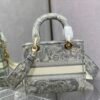 DIO lady DI luxury for women handbag shoulder bag Lady D-Lite 24cm