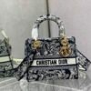 DIO lady DI luxury for women handbag shoulder bag Lady D-Lite 24cm
