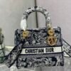 DIO lady DI luxury for women handbag shoulder bag Lady D-Lite 24cm