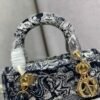 DIO lady DI luxury for women handbag shoulder bag Lady D-Lite 24cm