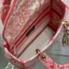 DIO lady DI luxury for women handbag shoulder bag Lady D-Lite 24cm