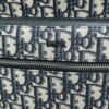 DIO lady DI luxury for women handbag shoulder bag backpack 42cm