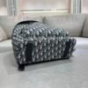 DIO lady DI luxury for women handbag shoulder bag backpack 42cm