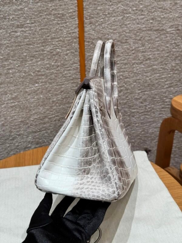 HM HRMS For Women Handbags Shoulder bags 100% Niloticus Birkin 25