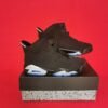 Jordan 6 Brown
