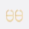 18K CD 30 Montaigne Rani Pink Earrings