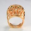 18K Panth¨¨re De Ring