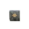 Luxury Coach AirPods Cases Light Brown-LGK240425