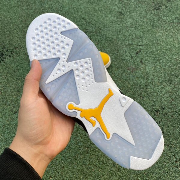 Jordan 6 ¡°Yellow Ochre¡±