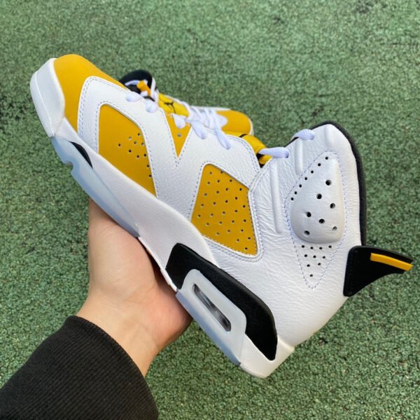 Jordan 6 ¡°Yellow Ochre¡±