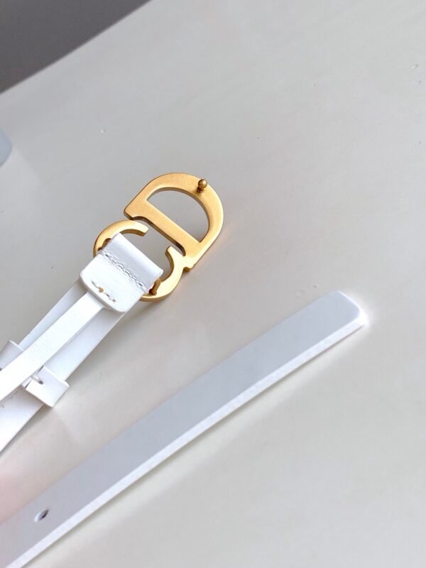 Luxury DIR BELTS 017