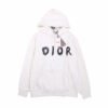 Dior Brushstroke Hoodie
