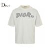 Dior Oversized Grey Logo White T-Shirt