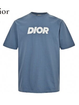 Dior Classic Logo T-Shirt (Blue)