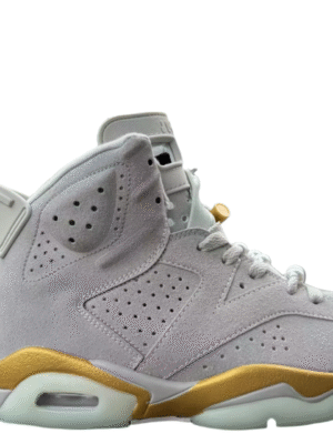 Jordan 6 "Gold Hoops"