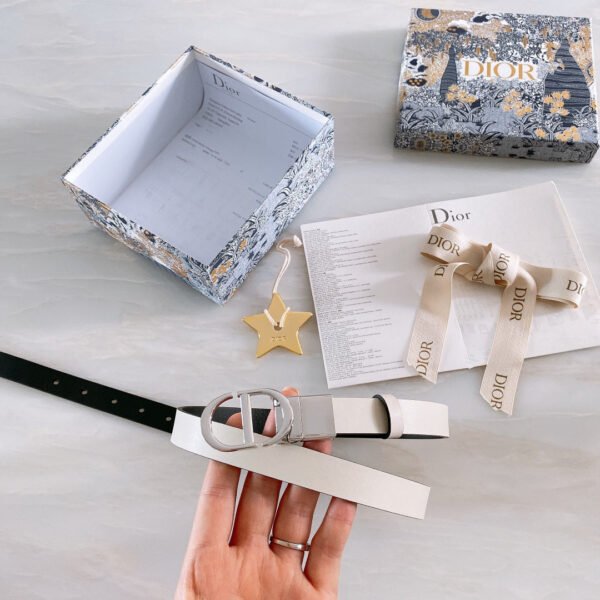 Luxury DIR BELTS 009