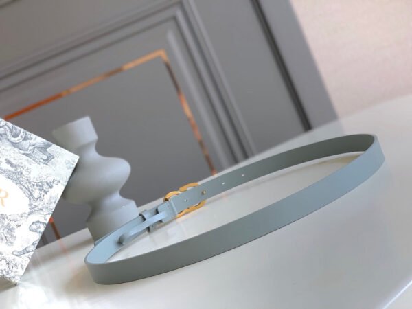 Luxury DIR BELTS 018