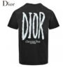 2_c4a6abf0-8d63-4a50-a804-6a26e090754d Dior Logo T-Shirt (Black)