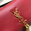 YSSL Kate Tassel Small Shoulder Bag Red For Women 10.2in/26cm YSL?
