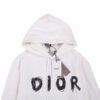 Dior Brushstroke Hoodie