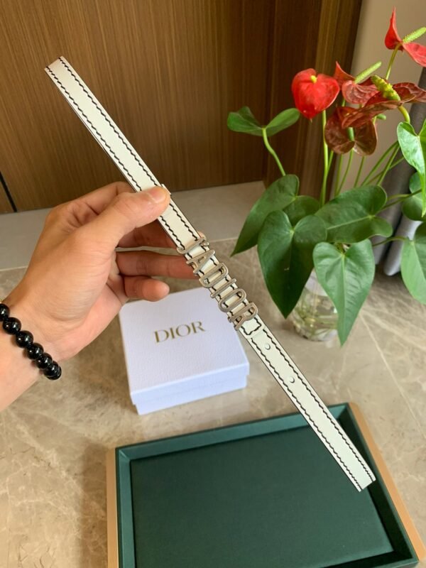 Luxury DIR  BELTS 003