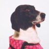 Gucci Dog Print T-Shirt