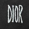 5_1d2d29f4-212c-4b9f-8e40-f0527c45ed56 Dior Logo T-Shirt (Black)