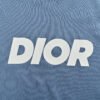 Dior Classic Logo T-Shirt (Blue)
