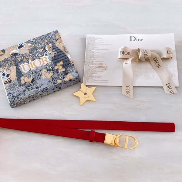 Luxury DIR BELTS 012