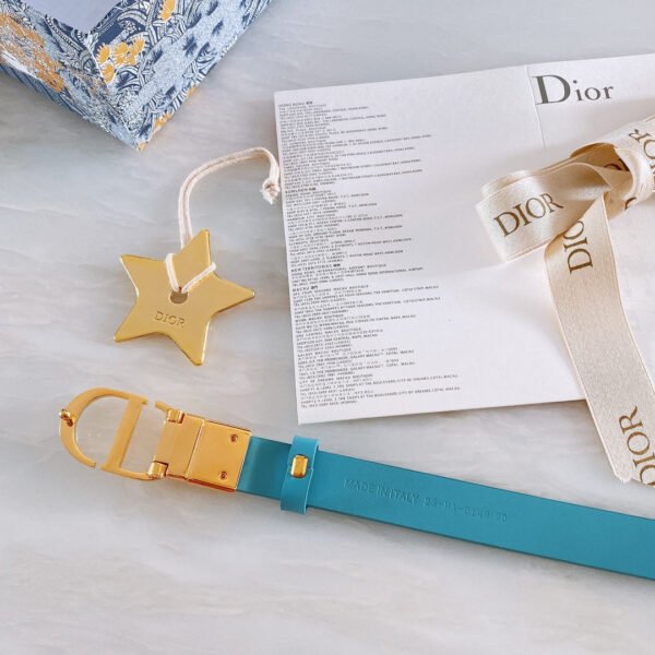 Luxury DIR BELTS 008