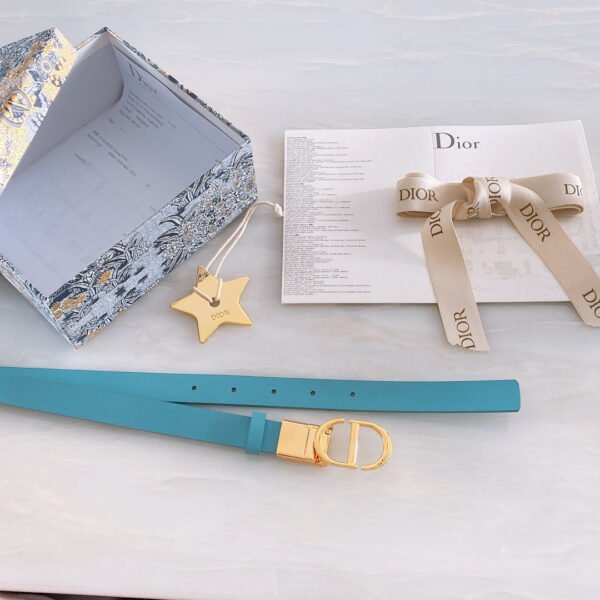 Luxury DIR BELTS 008