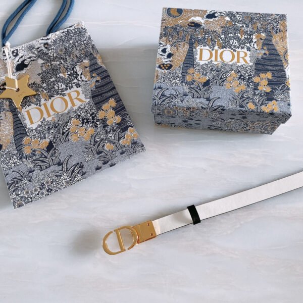 Luxury DIR BELTS 010