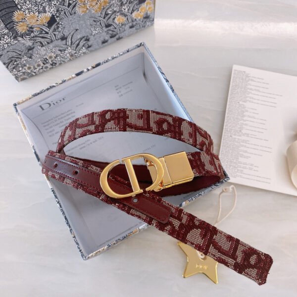 Luxury DIR BELTS 015