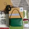 gg Blondie Shoulder Bag Green For Women, Women’s Bags 11in/28cm gg?
