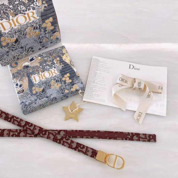 Luxury DIR BELTS 015