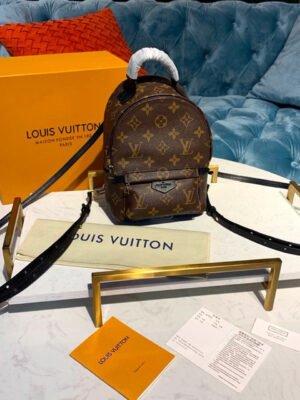 LV Palm Springs Mini Backpack Bag 22cm Monogram Canvas Spring/Summer Collection M41562, Brown