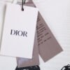 Dior Brushstroke Hoodie