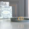 Luxury DIR BELTS 018