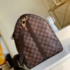 LV Damier 55cm Brown