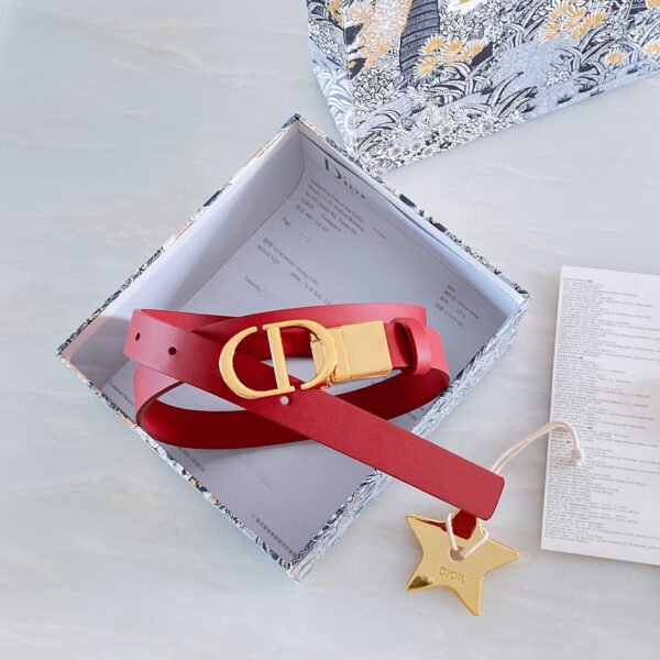 Luxury DIR BELTS 012