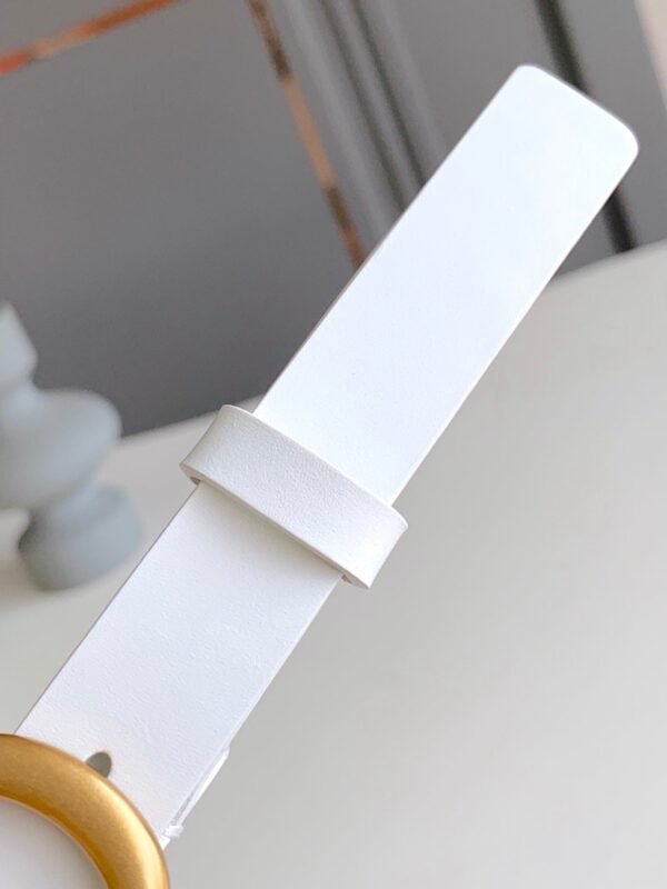 Luxury DIR BELTS 017