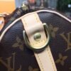 LV Speedy 25 Monogram Canvas For Women, Women¡¯s Handbags 9.8in/25cm LV M41109