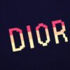 Dior Gradient Logo T-Shirt