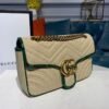 gg Marmont Raffia Straw Shoulder Bag Beige/Green gg Chevron Matelass¨¦ Raffia Effect Fabric For Women 10in/26cm gg  ?443497