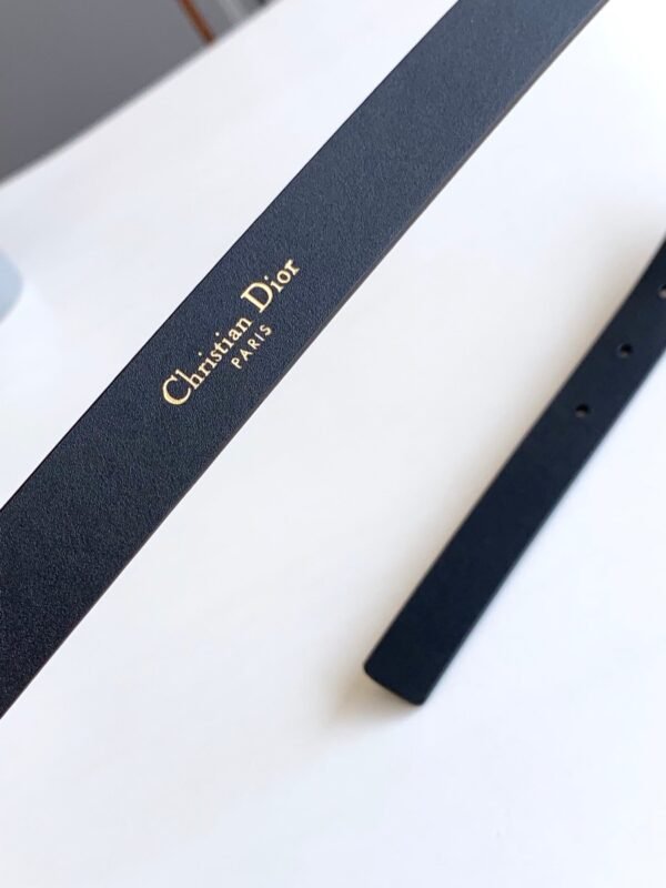 Luxury DIR BELTS 019